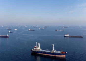 Black Sea grain deal: Russia refuses to renew and says no guarantees for ships now 