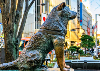 Hachiko: The world’s most loyal dog who waited for its deceased master for decades, turns 100