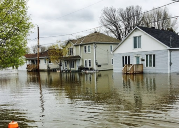 Flood survival guide: Top tips for ensuring safety during floods