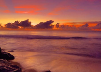 Troubling figures: Over 50% of US beaches display disturbing faecal contamination, reveals report