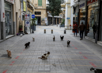 Feline infectious peritonitis: Feline coronavirus outbreak turns Cyprus into the ‘island of dead cats