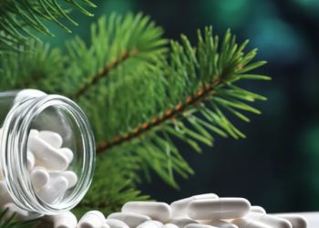 UK: Scientists make paracetamol & ibuprofen using paper industry waste