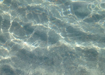 Ocean temperature around Florida reaches hot tub levels
