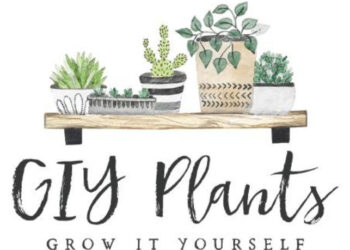 GIYPlants Unveils Exciting E-Commerce Solution: A One-Stop Shop for Plant Enthusiasts