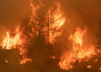 All the countries where wildfires have erupted in recent days