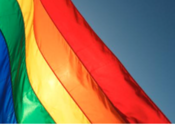 Florida bans advanced psychology course over LGBTQ content- Course developer