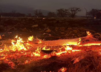 Maui wildfire: Here’s how you can stay safe during a wildfire