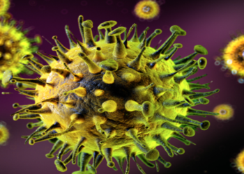 H5N1: New research shows that a devastating virus is one of the worst outbreaks in history