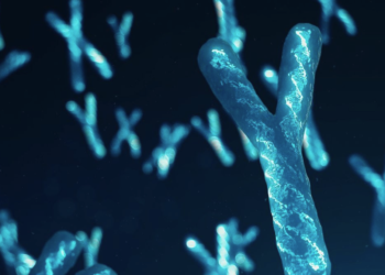 Men’s health revolution: First-ever decoding of the Y chromosome paves the way for medical innovations in cancer treatments and fertility solutions