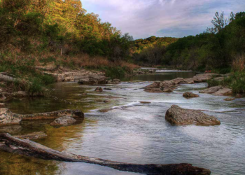 Texas drought reveals more than 70 concealed dinosaur footprints in a dried-up riverbed