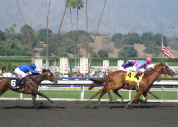 Horses poised for greatness at the 2023 Breeders’ Cup