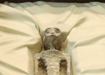 Lab tests confirm the authenticity of alien bodies displayed in Mexico Congress