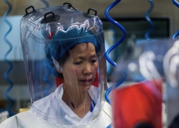 China’s top virologist Shi Zhengli warns against another COVID-like pandemic