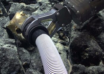 Mysterious ‘Spooky Golden Egg’ discovered at the bottom of the Pacific Ocean