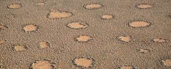 Over 250 mysterious fairy circles spotted, spread across 3 continents