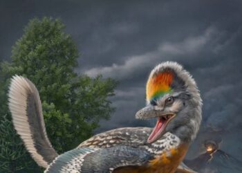 Fujianvenator: Weird long-legged bird-like dinosaur discovered in China