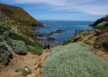 Cape Grim: This Remote peninsula has the cleanest air on earth