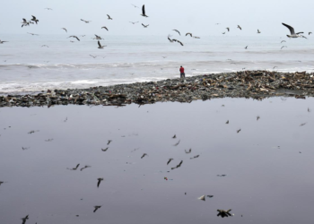 World’s first climate justice case: Small Island nations seek accountability for high-emission countries