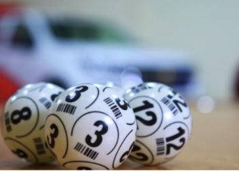 Full house: SkyCity adds bingo to their list of games