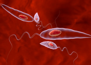 Parasitic skin infection, Leishmaniasis, spreads in the United States- Know all about it
