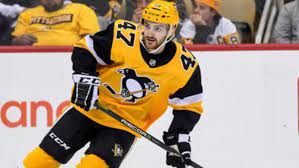 Who was Adam Johnson, the NHL player who died in a freak accident?