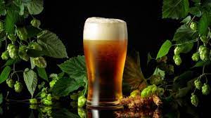 Beer quality and flavor declining due to climate change: Study