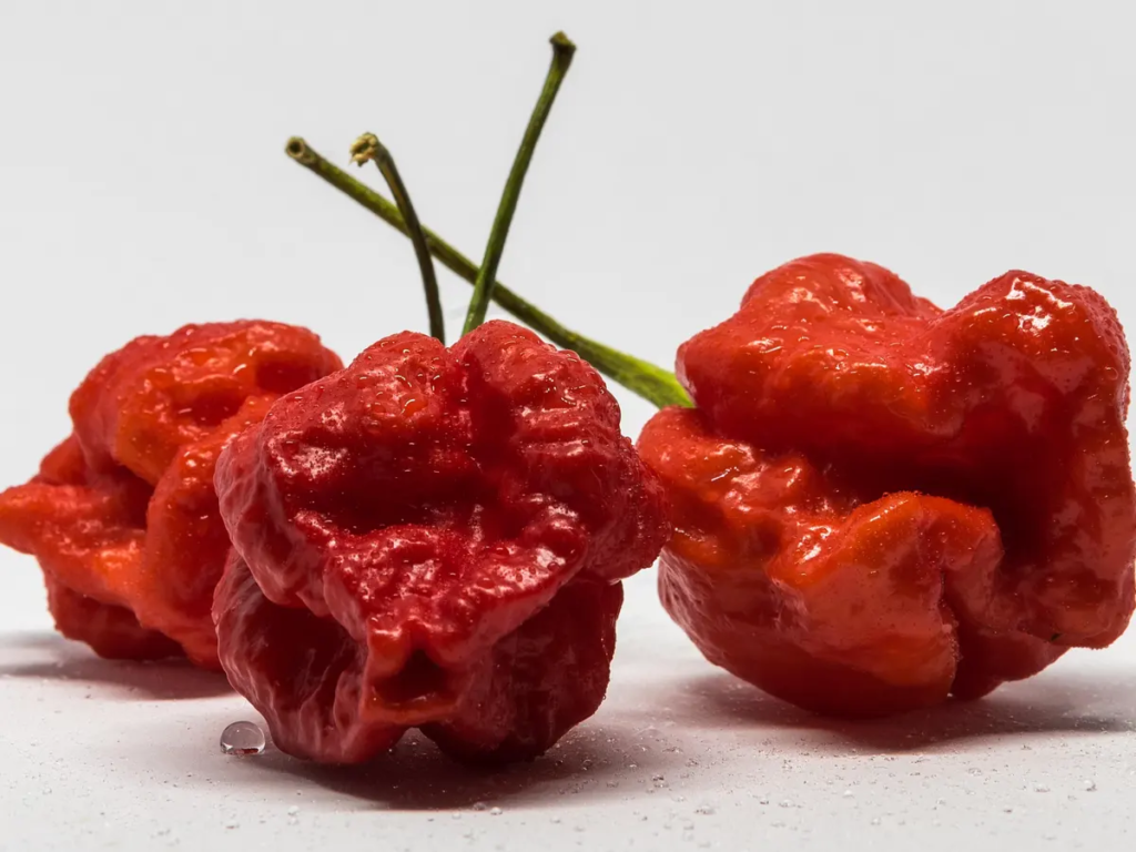 "Pepper X" sets new record as world's hottest pepper, three times
