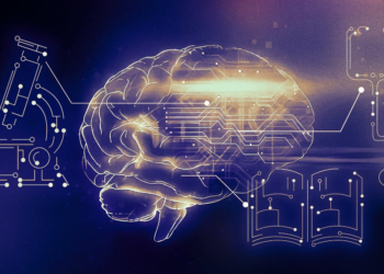 AI to be recognized as a legal ‘species’ with rights and obligations?