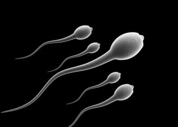 A potentially groundbreaking discovery revealed that human sperm violates one of Newton’s laws of motion