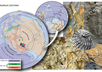 Climate change revealed as the culprit in ancient extinction of malvinoxhosan biota