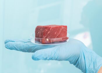 Italy outlaws “Frankenstein” meat produced in laboratories due to health concerns