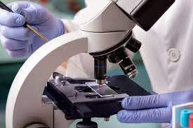 Revolutionary breakthrough: Scientists discover a “kill switch” that can eradicate cancer