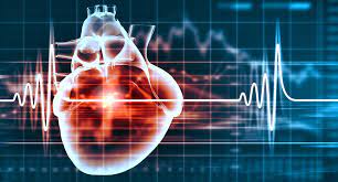 AI might forecast the danger of a heart attack up to ten years in advance: Study
