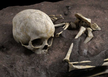 Earliest known burial site was not made by humans, study suggests