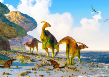 Dinosaur-like life on distant planets a possibility: New study