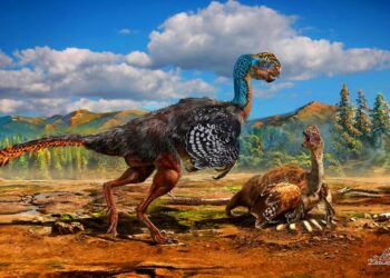 A 70 million-year-old dinosaur species that slept like birds has been discovered by scientists