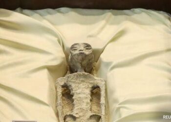 US has “variety” of alien bodies, claims ex-US intelligence officer