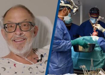 Pig heart transplant: Second recipient dies 40 days after the surgery