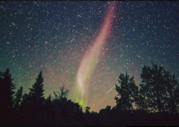 What is STEVE? Earthlings are awestruck by purple and green lights in the sky, after auroras