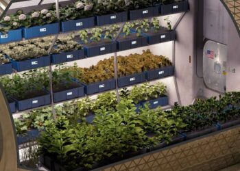 Food production in space: What is NASA’s Veggie project?