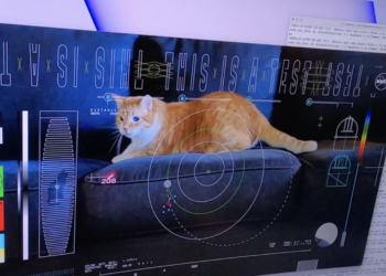 Watch: NASA sends cat video from spacecraft 31 million Km away from Earth