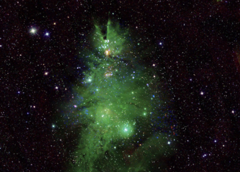 NASA shares images of ‘cosmic Christmas tree’ to kick-off holidays