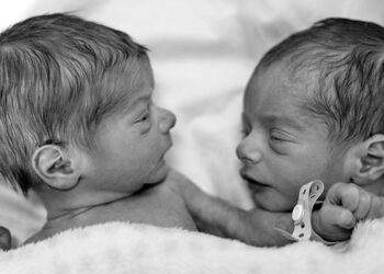 American woman delivers twins despite having an unusual double uterus
