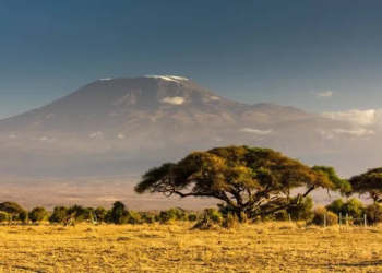 Climate change: Mount Kilimanjaro glaciers expected to vanish by 2040, says WMO