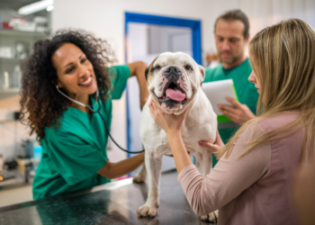 FDA warns that these pet drugs may cause resistance to human medications