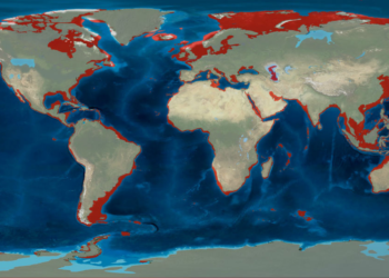 Millions once lived on a land larger than New Zealand; rising seas swallowed it