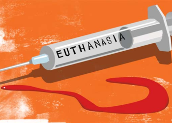 Cuba legalizes euthanasia, becoming second Latin American country after Colombia