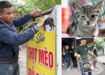 Vietnamese restaurant that killed 300 cats a month to make soup closes down