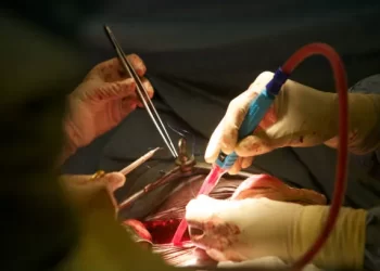 Tanzanian-Indian organ swap gives new lease of life to two kidney patients