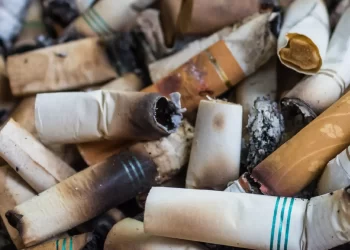 Scientists create a method for turning green fuel from harmful cigarette butts